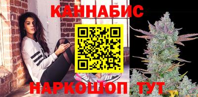 сатива Шахты