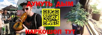 сатива Шахты