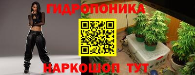 сатива Шахты