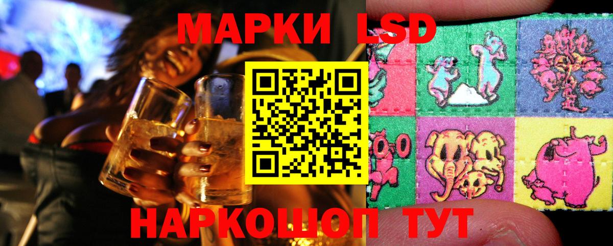 Бошки Шишки Кохма