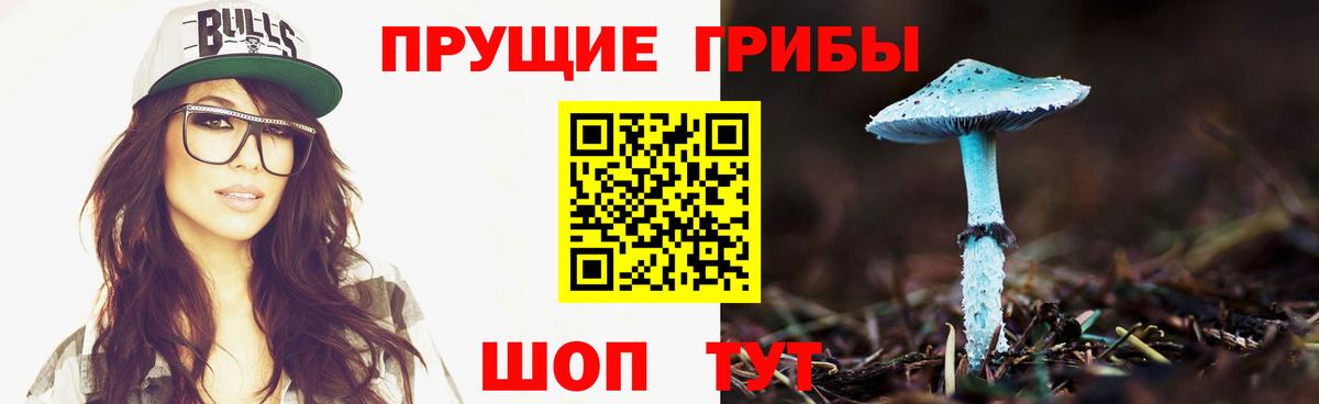 Псилоцибиновые грибы Psilocybe  Вход с VPN  Кохма 